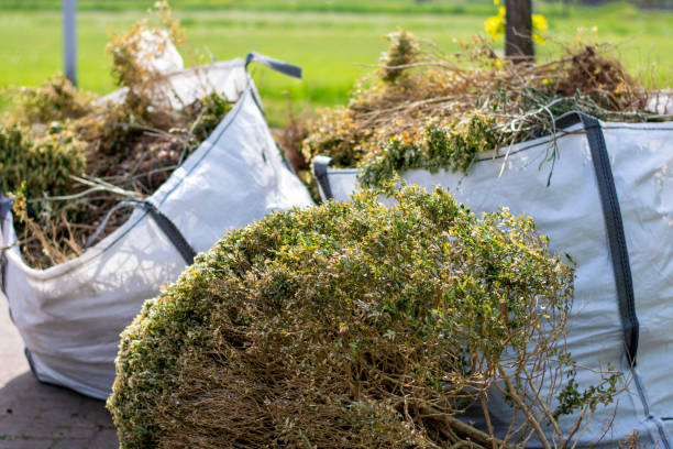 Best Hoarding Cleanup  in Phillipsburg, GA